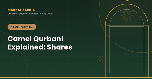 Camel Qurbani Explained: Shares & Who Should Choose It