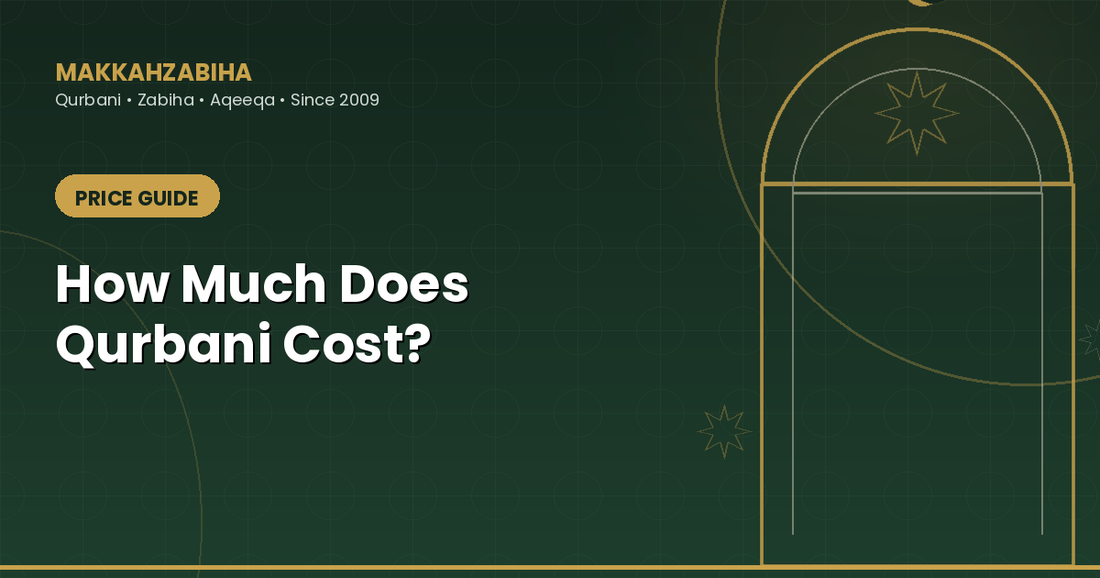 How Much Does Qurbani Cost in Makkah 2026 Price Guide
